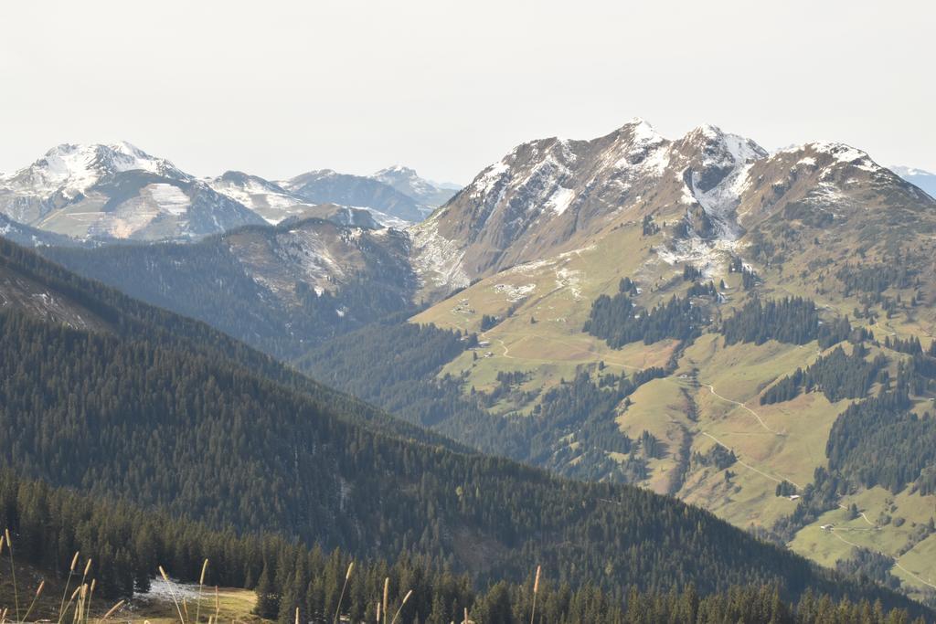 Appartement Gassner Leogang Exteriör bild